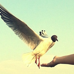 Юлия Ибрагимова, 13.03, Новосибирск