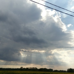 Игорь Урванцев, Санкт-Петербург