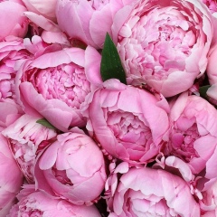 Вика Бродская, 12.07.1991, Киев