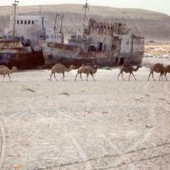 Арафат Турсынбаев, 01.01.1905, Аральск