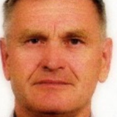 Александр Гречка, Ромны