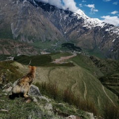 Константин Карнаухов, 24.02.1984, Пермь
