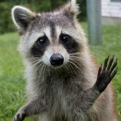 Василий Роганов