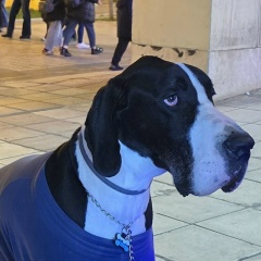 Дмитрий Ерин, Torrevieja