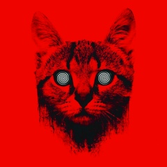 Александр Перов, 11.12, Троицк