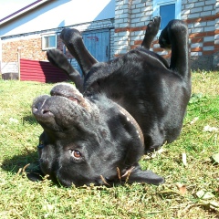 Пират Пиратов, 31.05.1920, Челябинск