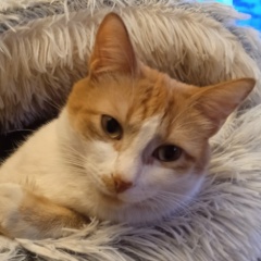 Татьяна Жданова, Санкт-Петербург