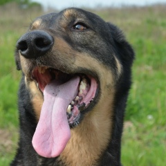 Антон Пухляк, 01.05.1991, Минск