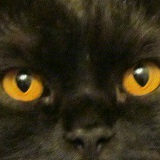 Татьяна Горишняя, Ростов-на-Дону