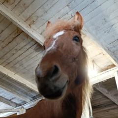 Анастасия Селивановских, 05.02.2011