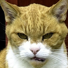 Kostya Platonov, 04.07, Череповец