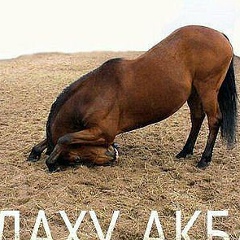 Бакытгуль Жуманова, 01.05.1978, Шымкент