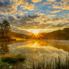 Алексей Мелоев, Санкт-Петербург