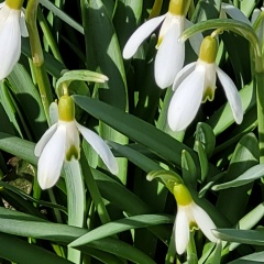 Александр Леонидович, 15.08.1987, Вологда