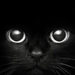 Мария Хриц, 14.08.1985, Уфа