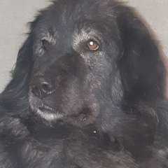 Вадим Сергиенков, 04.05.1978, Sydney