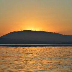 Юлия Есипова