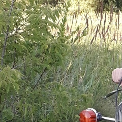 Zhanserik Muratuly, 09.02.1994, Атырау