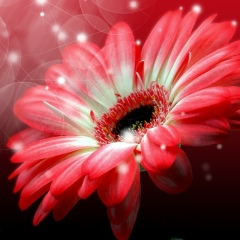 Саша Ладожская, 27.07, Санкт-Петербург