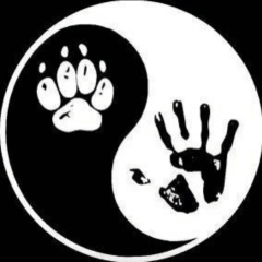 Ирина Андреева, 13.05, Трехгорный