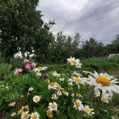 Kamilla Tanasheva, 03.04, Уральск