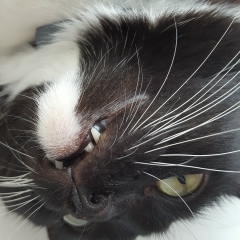 Михаил Николаев, 06.06, Москва