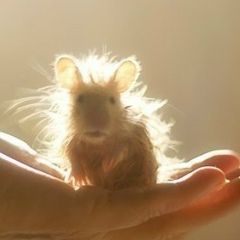 Катерина Бордюг, 04.09.1988, Днепр (Днепропетровск)