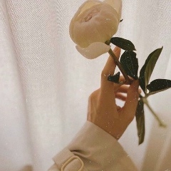 Cameli Imanova, Джалал-Абад