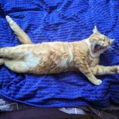 Наталья Селиверстова, 08.11, Санкт-Петербург