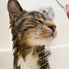 Виктор Барышников, 24.11.1987, Москва