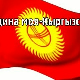 Мирко Кро-Коп, 09.08.1988, Москва