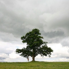 Дарья Корнышева, 30.01, Санкт-Петербург