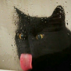 Павел Шляго, 15.09, Санкт-Петербург