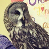 Любовь Иванова, 11.01, Санкт-Петербург