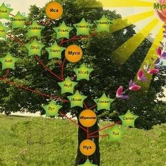 Амина Омарова, 11.09.1995, Ставрополь