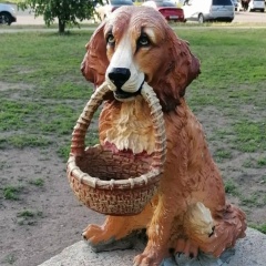 Юлия Виш, Санкт-Петербург