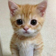 Саша Ходюк, 27.03.2000, Хмельницкий