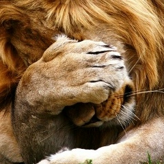 Марина Ковалева, 14.05