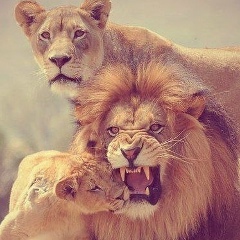 Меийрбек Ибрагимов, 08.08.1994, Рудный