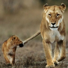 Мария Демидова, 27.05.1979, Санкт-Петербург