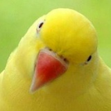 Ибрагим Таумурзаев, 25.10.1994, Нальчик