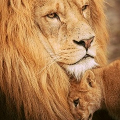 Valerio Nogatti, 30.05.2010, Владикавказ