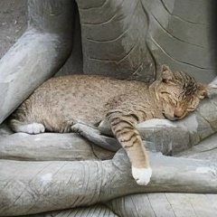 Дмитрий Мельников, 12.11, Санкт-Петербург