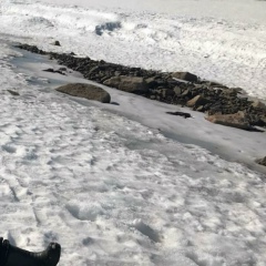 Георгий Богачев, 16.06, Красноярск