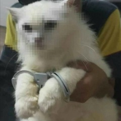 Миша Ковалёв, 18.02.2000, Шымкент