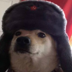 Игорь Зимо-Вейсков, 23.12.1984, Ростов-на-Дону