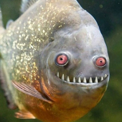 Светлана Кузьмина, 05.02.1982, Екатеринбург