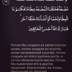 Алихан Казбек, 25.12.1994, Астана