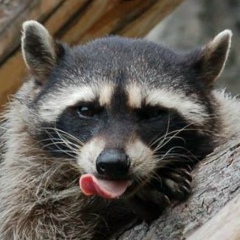 Валера Минников, 12.03.2000, Ленинградская