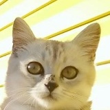 Виталий Паршин, 01.06.1995, Самара